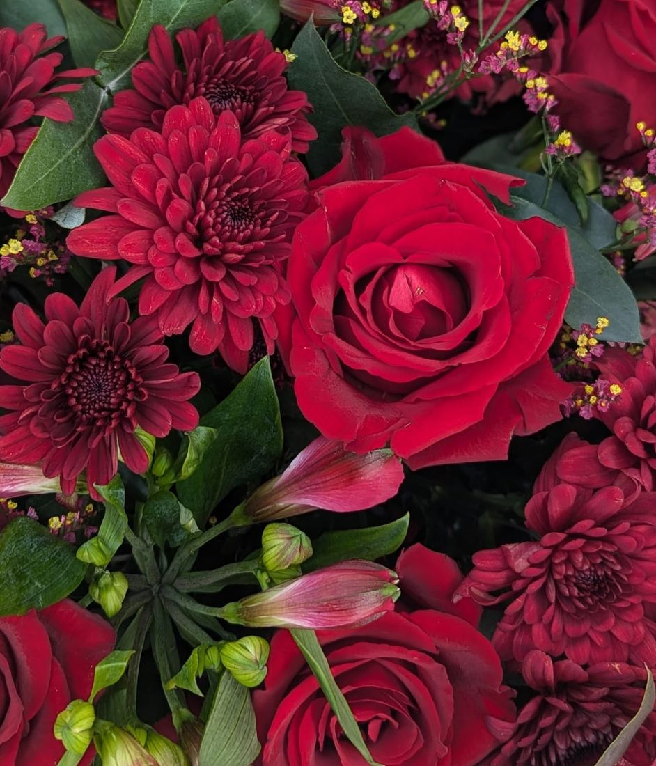 Florist’s Choice – Red