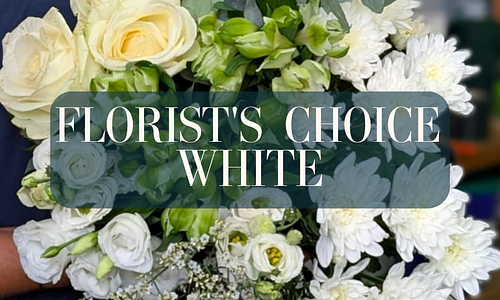 Florist’s Choice – White
