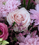 Florist’s Choice – Pink 3