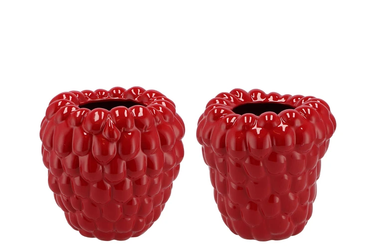 Raspberry vase