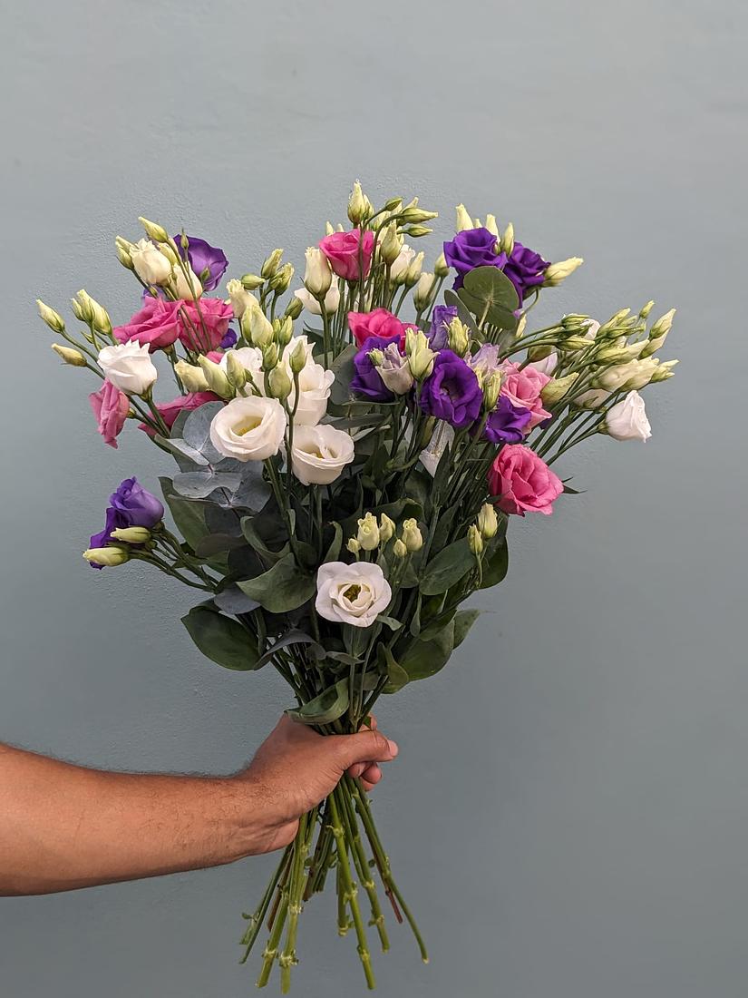 Mixed Lisianthus
