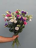 Gemengde Lisianthus 3