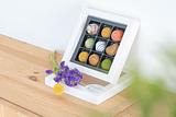Chocolate Box 2