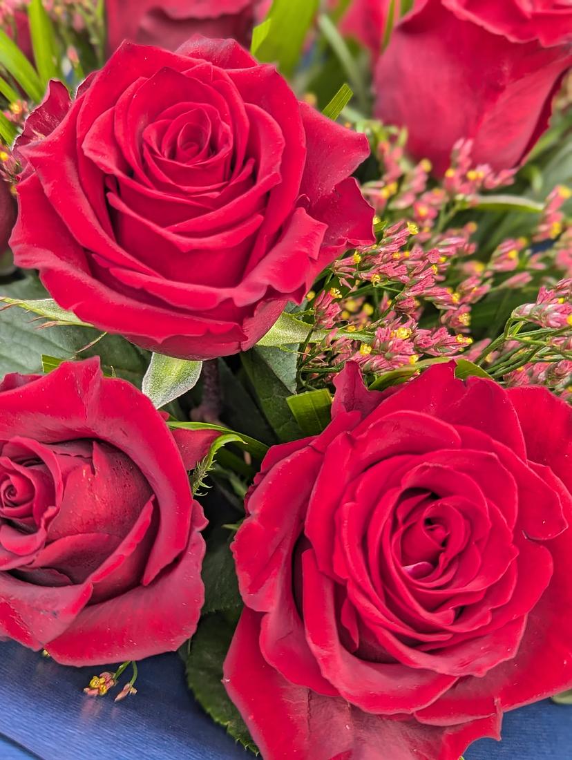 Docena de Rosas Rojas