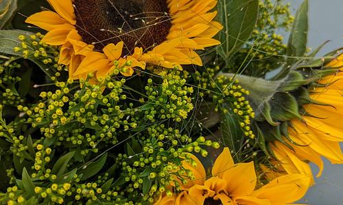 Sunflower Bouquet