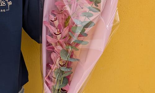 Orquídea Premium